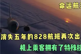 命运航班2⃣:消失五年的828航班再次出现，乘客身体出现了变化视频封面