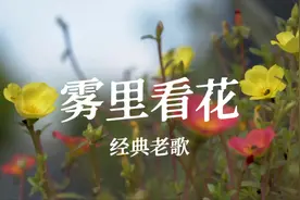 雾里看花，水中望月。经典老歌好听好看。视频封面