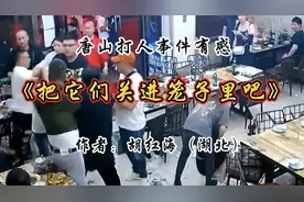唐山打人事件有感《把它们关进笼子里吧》 作者：胡红海（湖北）视频封面