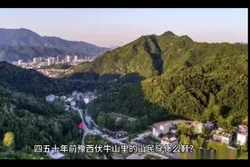 豫西伏牛山里的山民穿什么鞋？草鞋、麻鞋、轮胎鞋，真的像非洲