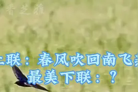 上联：春风吹回南飞燕，最美下联邀您答对。视频封面