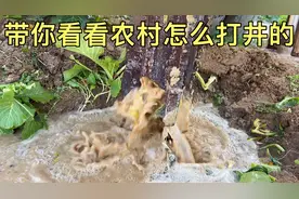 原来农村用水都是不花钱的，5分钟带你了解农村怎么打井取水！视频封面