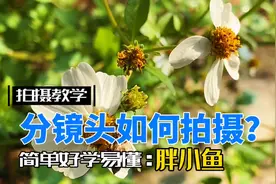 一个人拍视频没有思路？小鱼教你如何使用分镜头拍摄，秒出大片视频封面