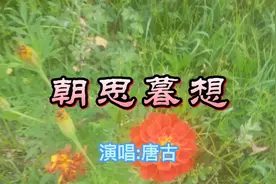 又是一年七夕节！唐古_《朝思暮想》献给天下有情人……