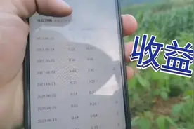 在头条创作了51天，有42万的播放量，收益是多少呢？