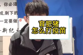 育肥猪如何打疫苗，视频略长细心看完，关乎猪场安全视频封面