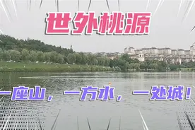 探访淮南环境最好的小区之一，环境真的不错！视频封面
