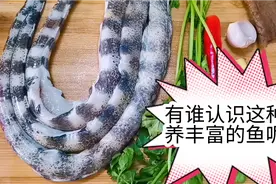 潮汕这种很有营养又有特色的鱼，现在特别喜欢吃，小时候却特别怕视频封面