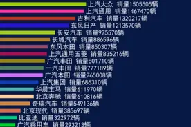 2020年汽车品牌销量排名二十强
一汽大众 上汽大众 上汽通用 吉利视频封面