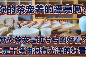 来跟我学，养出一个漂亮包浆的茶宠，一定会让你的茶席熠熠生辉！视频封面
