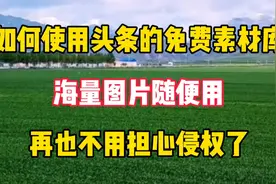 如何使用头条的免费素材库，海量图片随便用，再也不用担心侵权了