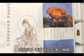 性相妙解：菩萨：大道心众生，大觉有情，具修自利利他之道。视频封面