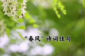 最美“春风”诗词：春意温柔，醉美于十里春风视频封面