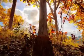 “熊出没狗熊岭幕后真实背景"位于大兴安岭视频封面