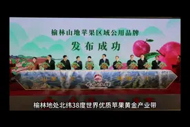 榆林山地苹果区域公用品牌在京发布视频封面
