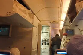 在阿联酋航空偶遇中国东北美女空乘视频封面