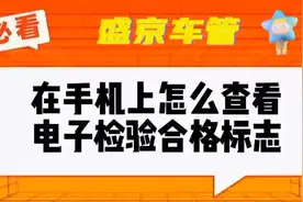 教你在手机上正确查看检车电子标志的方法视频封面
