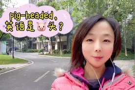 实用英语口语学习。“pig-headed”是“猪头”？视频封面