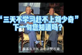 “三天不学习赶不上刘少奇”下一句您知道吗？视频封面