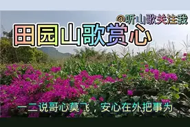 美丽的田园景色加上动听的山歌让人陶醉！视频封面