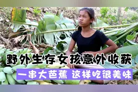 野外女孩生存，意外收获一串大芭蕉，这样吃很美味视频封面
