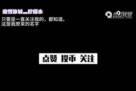 8种不同语言唱《蜜雪冰城》