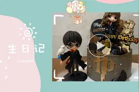 #日常vlog#49生日记/主题-盲盒视频封面