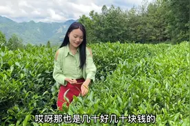小伙遇到单身采茶姑娘，没想到小姑娘这么热情好客还招待我吃饭！视频封面
