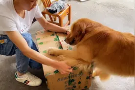 摆摆叔叔退伍回来，女朋友送的一个娃娃，摆摆非要抢到自己手里来