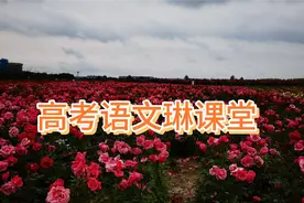 高考作文预测六：多则材料作文如何紧扣材料关键词含义立意？视频封面