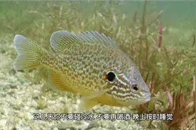 女朋友生理期男生该如何安慰视频封面