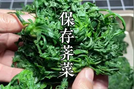 农村大妈教我保存荠菜，一年不变味不变色，口感鲜嫩跟新鲜的一样视频封面