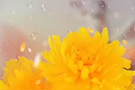 希望你永远开心快乐视频封面