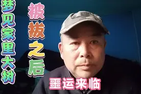 梦见家里大树被连根拔起，噩运接踵而来——听棍哥讲身边真实事视频封面