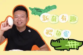 新奇有趣鳄鱼蛋 元气满满每一天