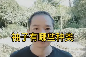 服装袖子有哪些种类，按长度分类按款式分类等，服装朋友必须知道