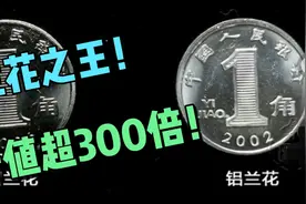 升值超300倍！这个年份的兰花一角被称为兰花之王，快来了解一下视频封面