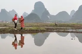 这里的春天最美丽视频封面