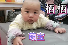 栖宝贝又来陪我们上班啦 没人理他 就自己玩自己的 好乖巧啊视频封面