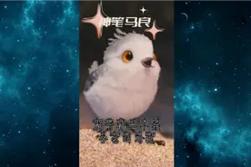 #神笔马良#二年级语文必读课外书#儿童睡前故事视频封面