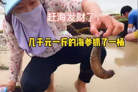 广州东莞周边亲子赶海最爽的一天，海货遍地直接爆桶，超级满足！