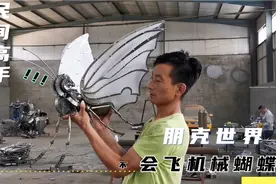 民间艺人用废旧零部件焊接30斤机械蝴蝶，因太重无法完成飞行视频封面