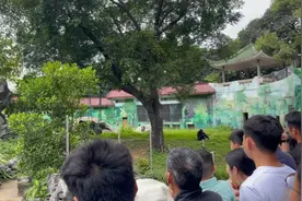 广西南宁动物园，门票50块视频封面