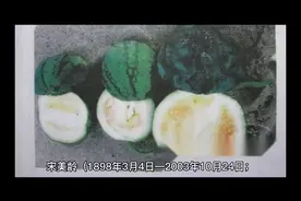 宋美龄简介视频封面