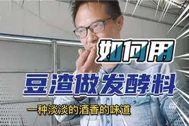 用豆渣做发酵料养羊，用什么方法不容易霉变，发酵更成功视频封面