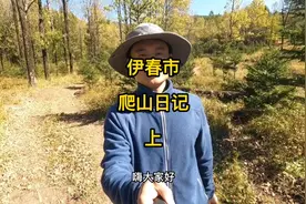 秋高气爽，爬山途中惊现一灰色小蛇，头呈三角形，极具攻击性视频封面