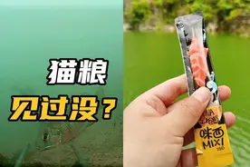 金枪鱼猫粮钓鱼见过没？水下揭露鱼吃饵最真实的状况，结果很明显