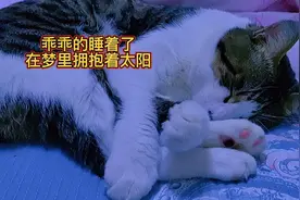 宝宝乖乖的睡着了，每秒心愿随你荡漾视频封面