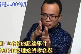 叶飞举报的后续事件，嘉美包装坐庄案23人被抓视频封面