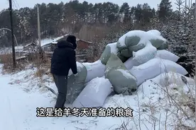 东北突降大雪零下20度，姑娘住铁皮房，半夜冻的睡不着